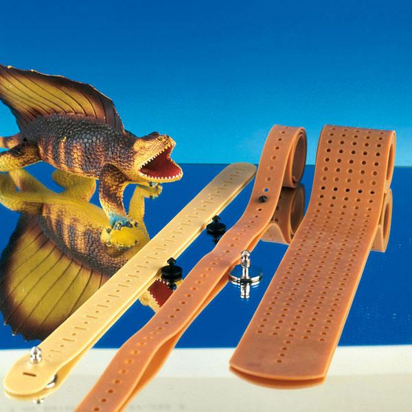 Extremitätenband Typ lang wie Siemens 135cmx3cm, vergleichbar Siemens 2274819