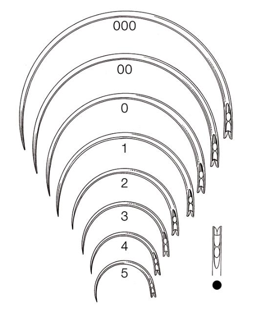 Chir. Nadel E AP 12 1/2 Kreis, Figur 5