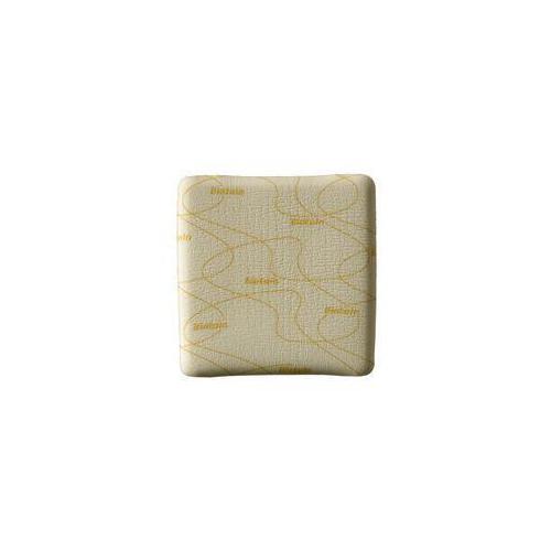 Coloplast A/S Biatain Schaumverb. steril 10x10cm AP 10 nicht-haftend