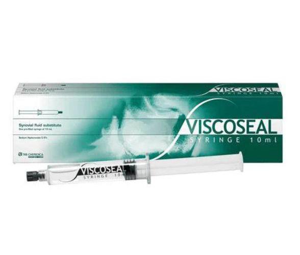 Viscoseal Hyaluronsäure 10ml Fertigspritze