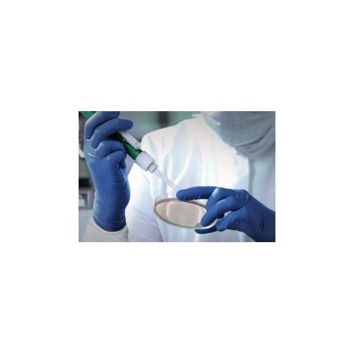 Chemotex Latex USH Gr. XL AP 50 puderfrei,geraute Oberfl.,blau