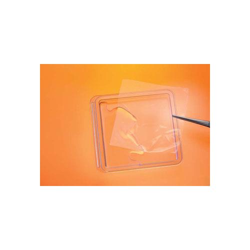 Genta-Foil resorb 2,5x5cm AP 1 Kollagenfolie m.Antibiotika