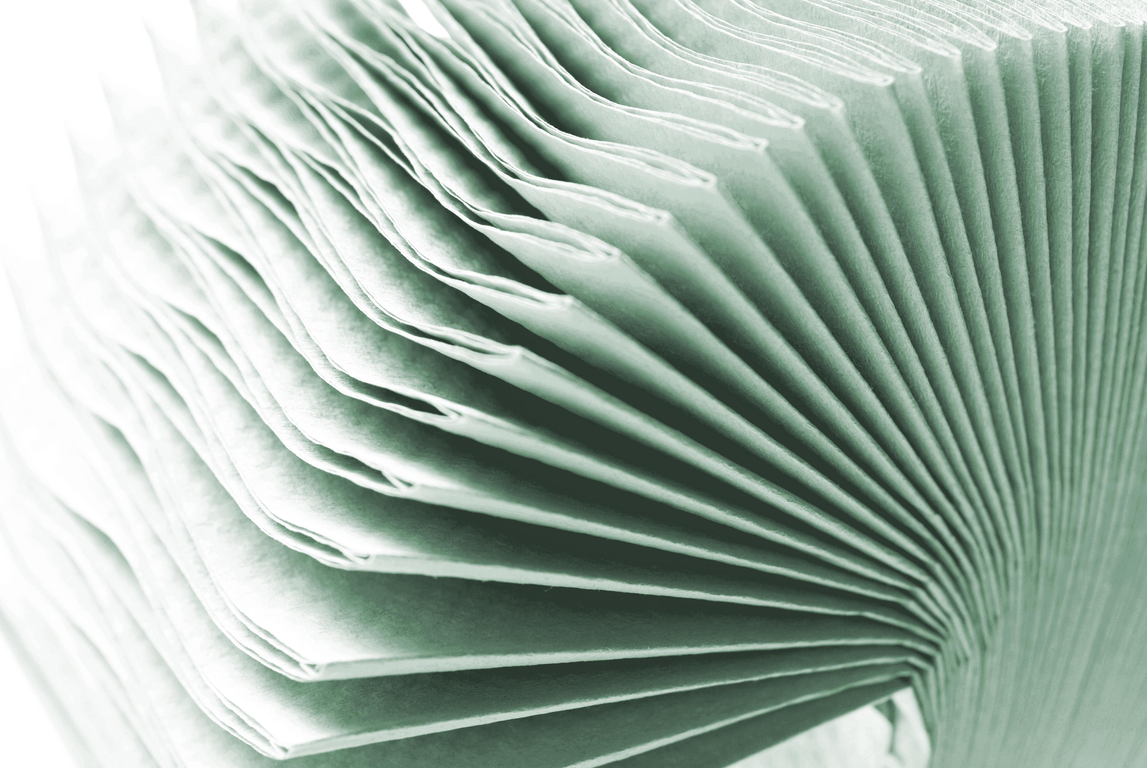 Fripa VERDE Handtücher 1-lg. grün PK 20x120St.,25x50cm Lagenfalz,recy