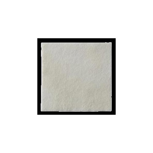 Coloplast A/S Biatain Alginate AG 5x5cm AP 10 Alginatkompresse mit Silber