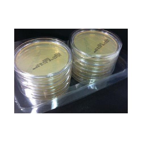 VWR INTERNATIONAL GMBH Sabouraud 4% Dextrose Agar AP 20, 90mm Fertigplatten