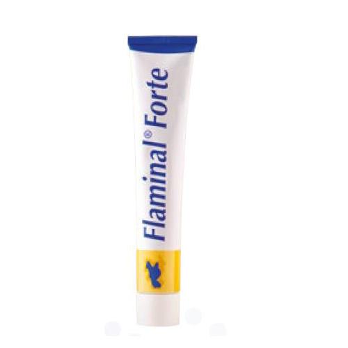FLEN PHARMA NV/SA Flaminal forte 25g antimikrobieller Alginatverband