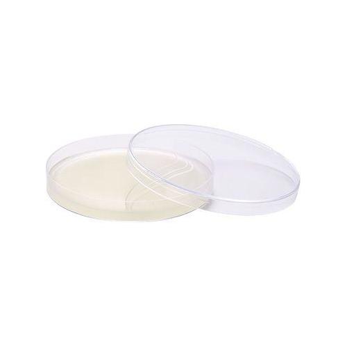 AMEFA Nutriplate Pilzagar nach Kimmig AP 20 Mini-Platten DM: 60mm
